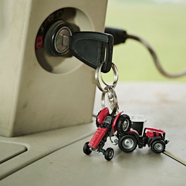 MF 135 Keyring 4 - Zoom 4
