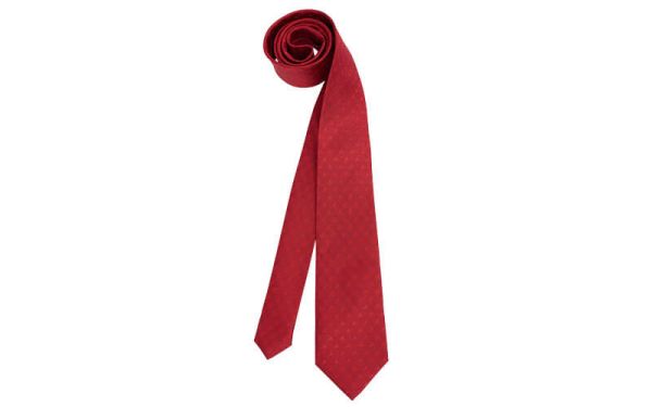 AGCO Silk Ties for Mens