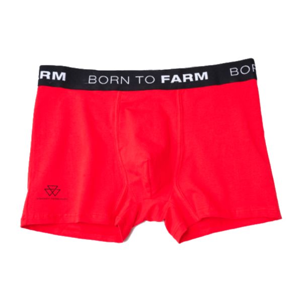 MF Boxer Shorts 2 - Zoom 2