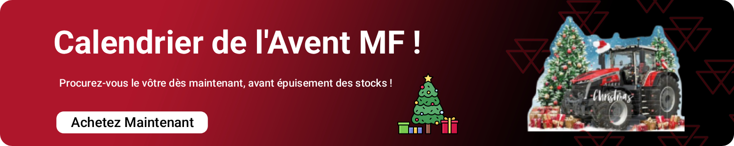 MF Advent Calendar