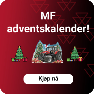 MF Advent Calendar